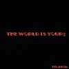 11 & Asa - The World Is Your$ - Single